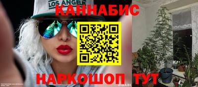 apvp Будённовск